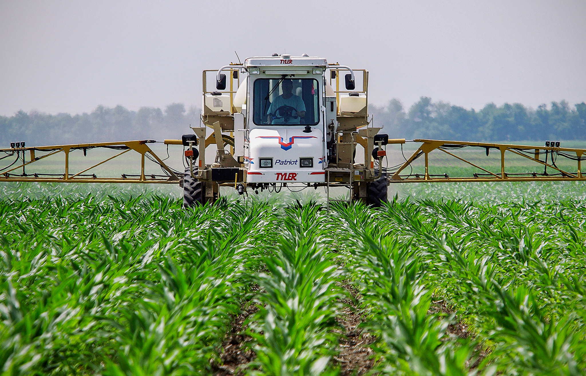 Roundup : Le Glyphosate Réautorisé Pour 18 Mois ? - HortitecNews