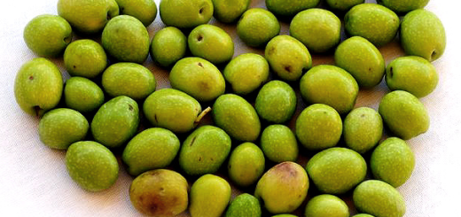 olives_3.png